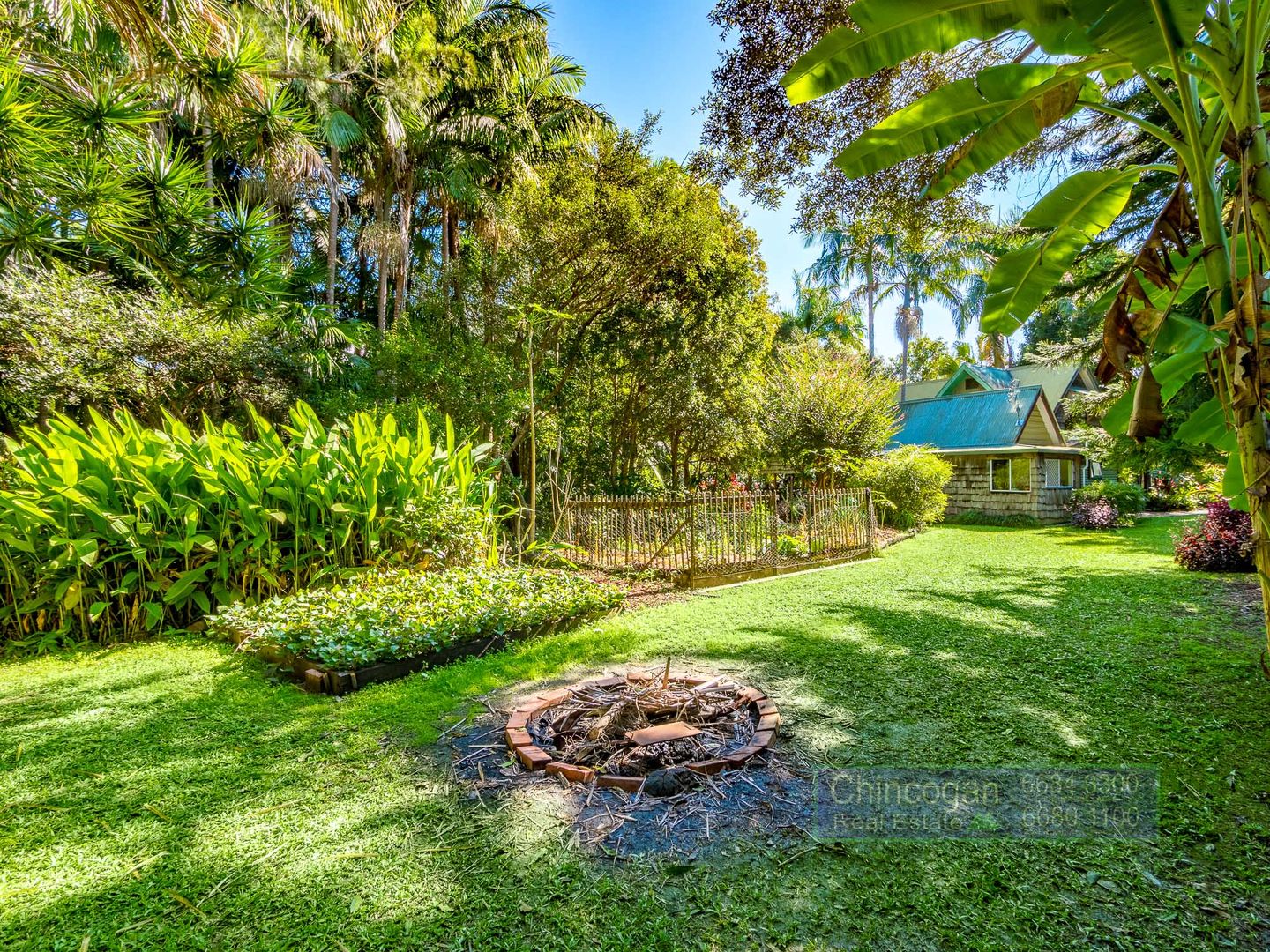 14 Banksia Place, Mullumbimby NSW 2482 House For Rent Domain