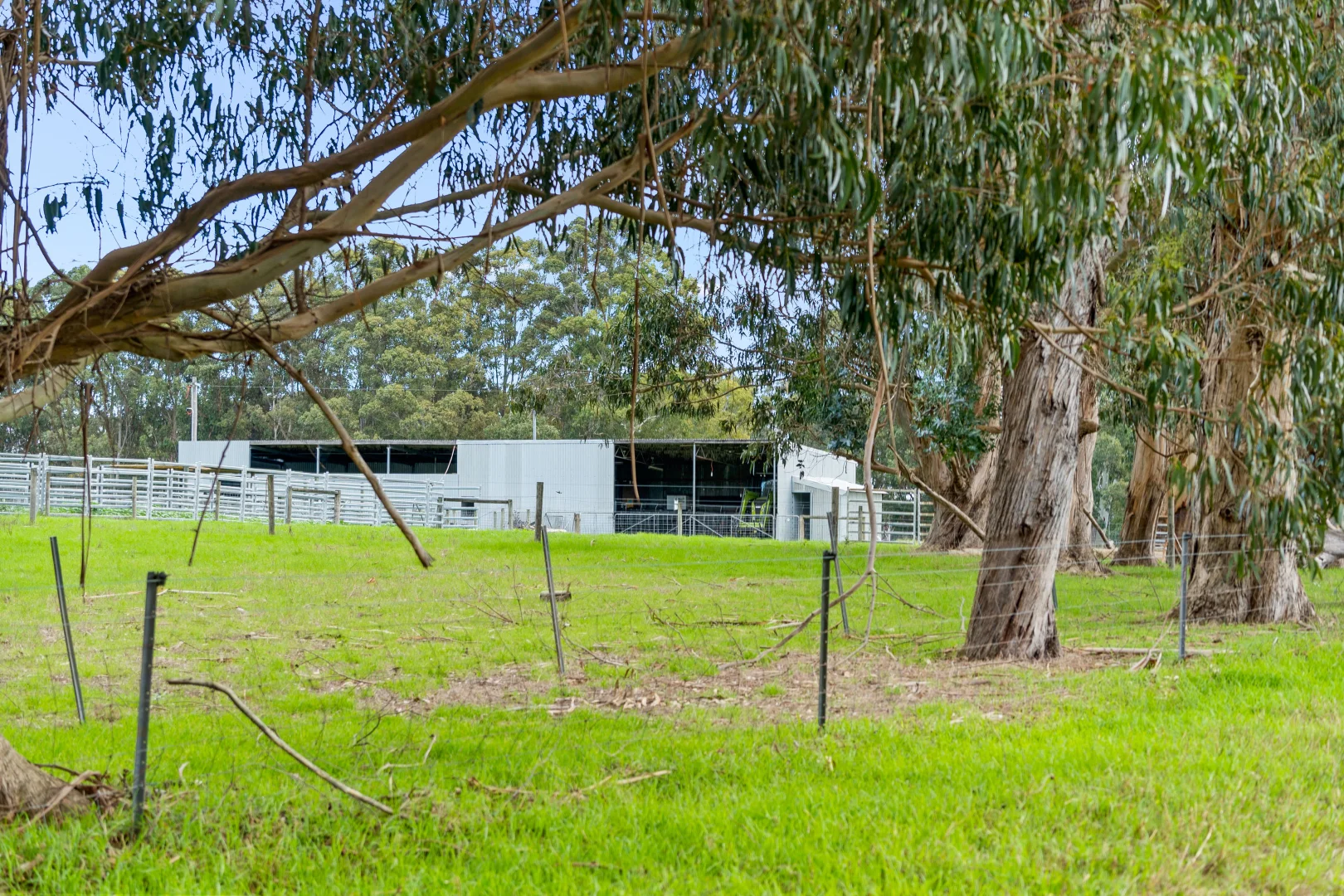 Image 15