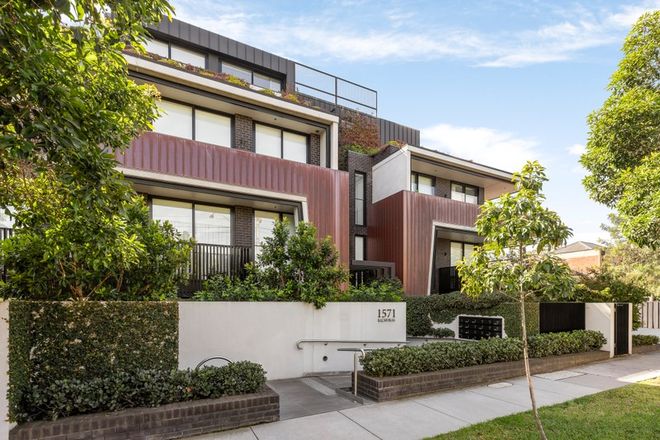 Picture of 204/1571 Malvern Road, GLEN IRIS VIC 3146