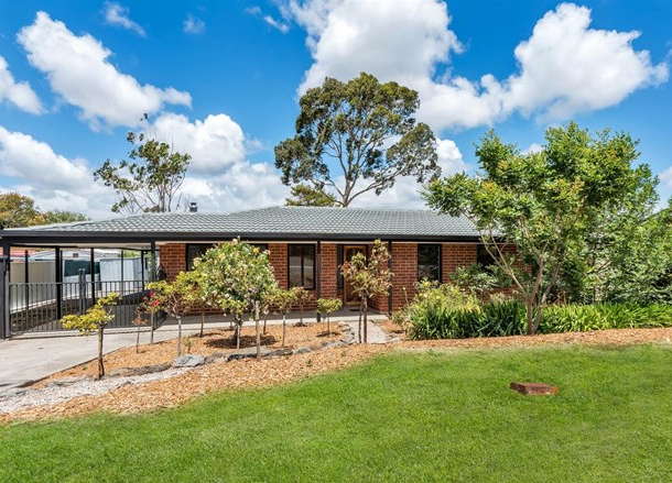 3 Chapman Crescent, Redwood Park SA 5097