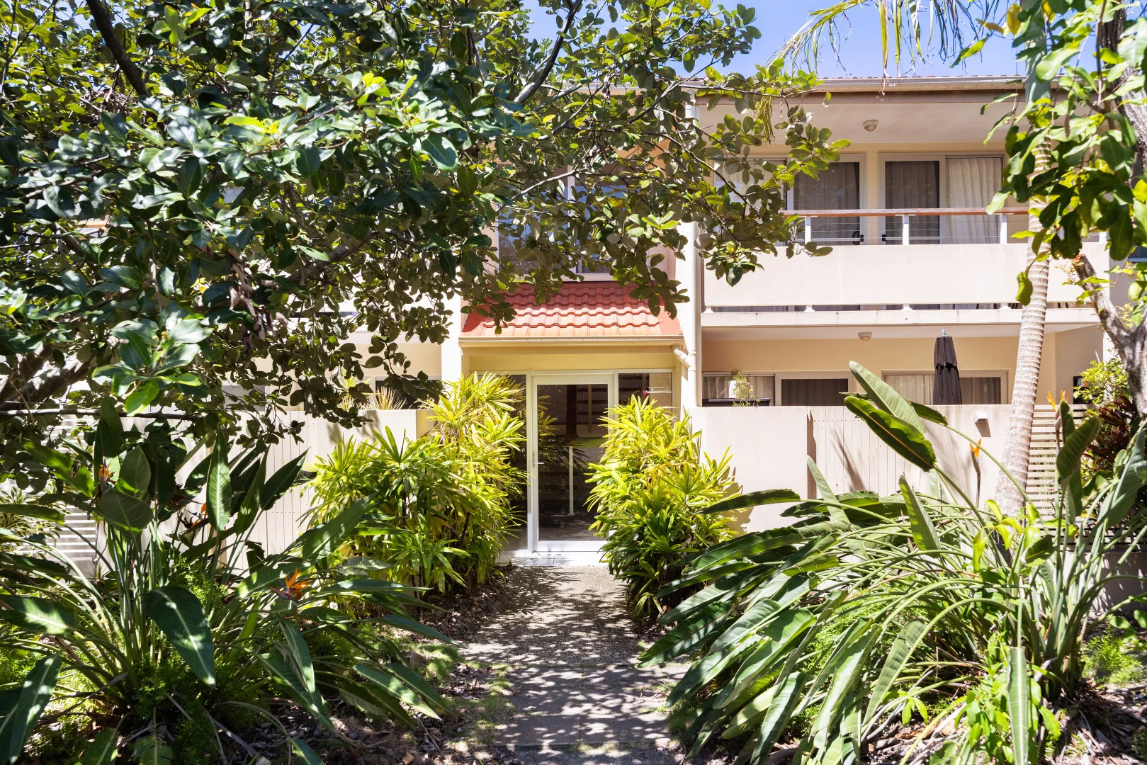 Image 12