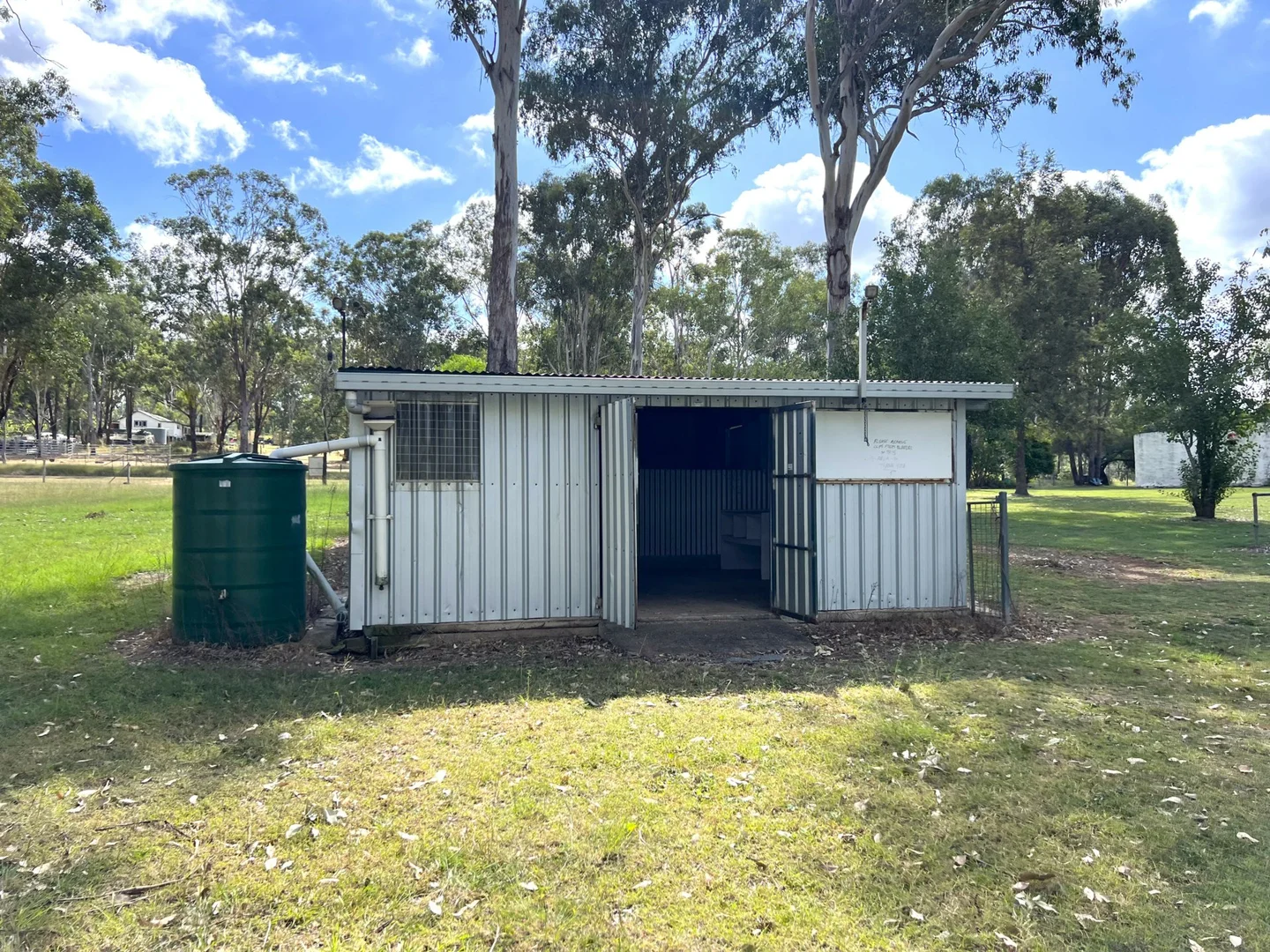 Image 11