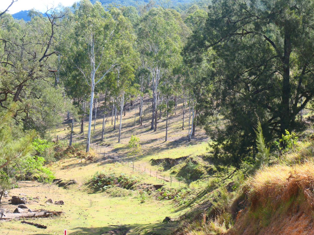 3/2806 Rocky River Road, Rocky River NSW 2372 House for Sale 315,000