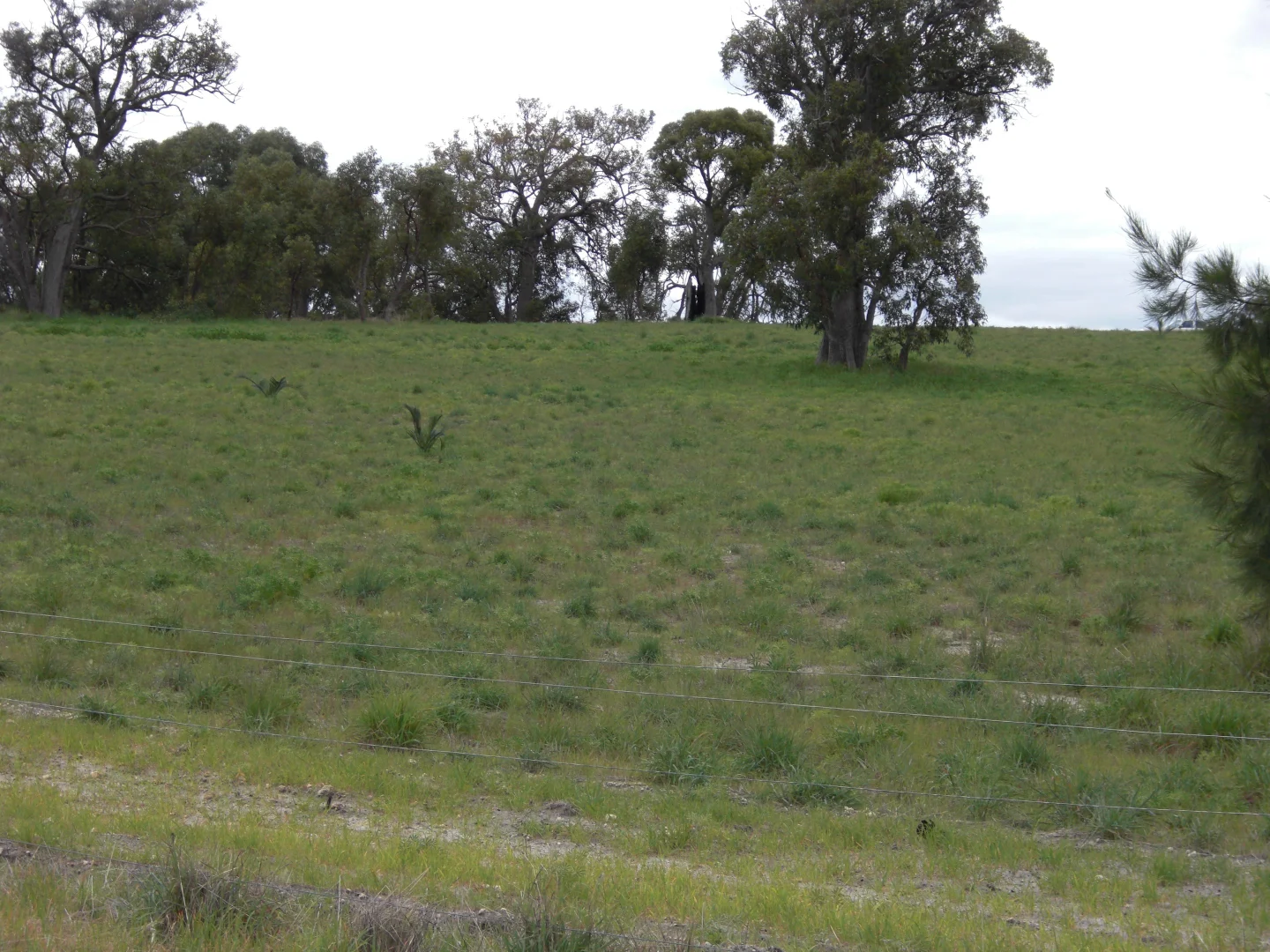 Image 10