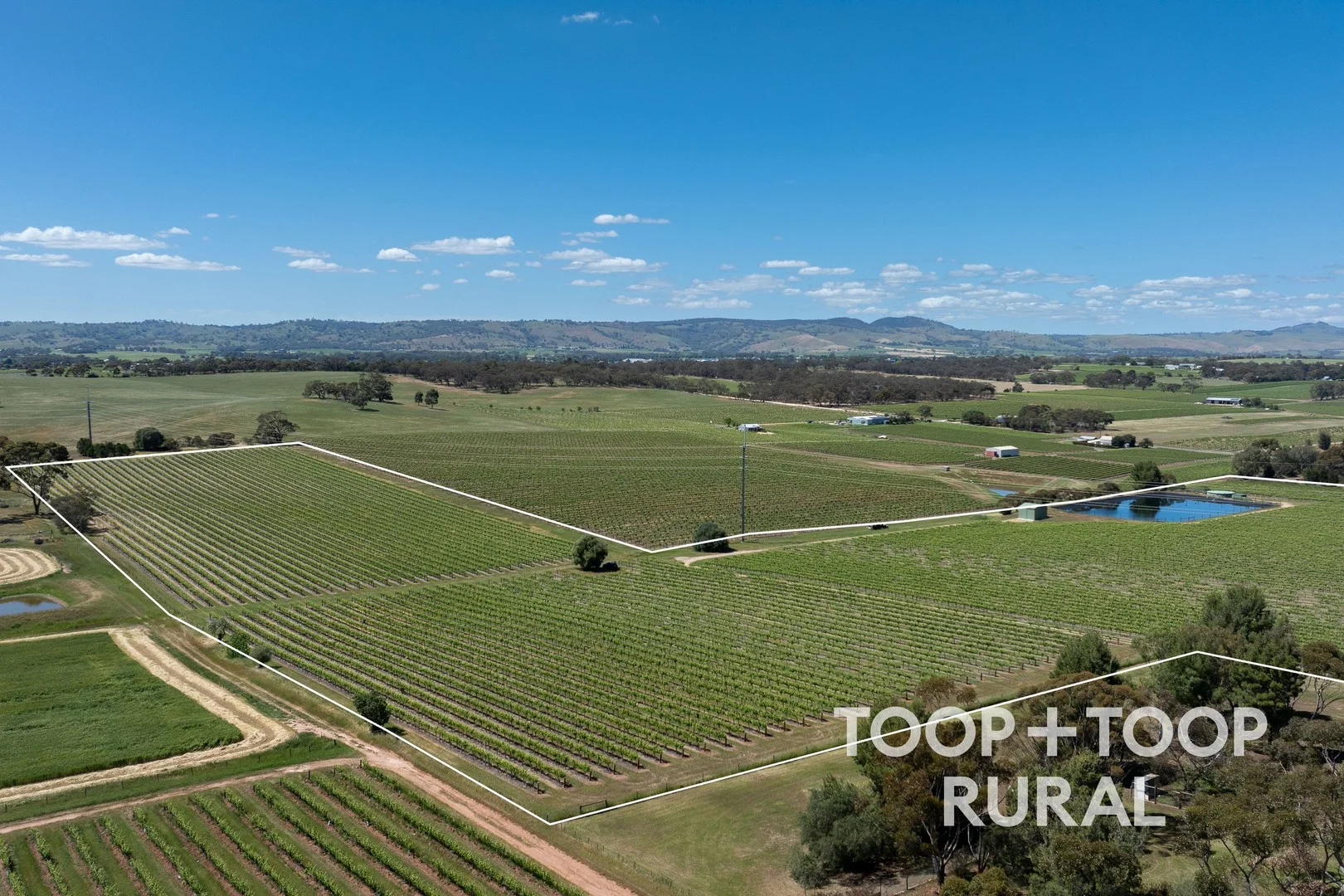 303 Stonewell Road, Stone Well SA 5352