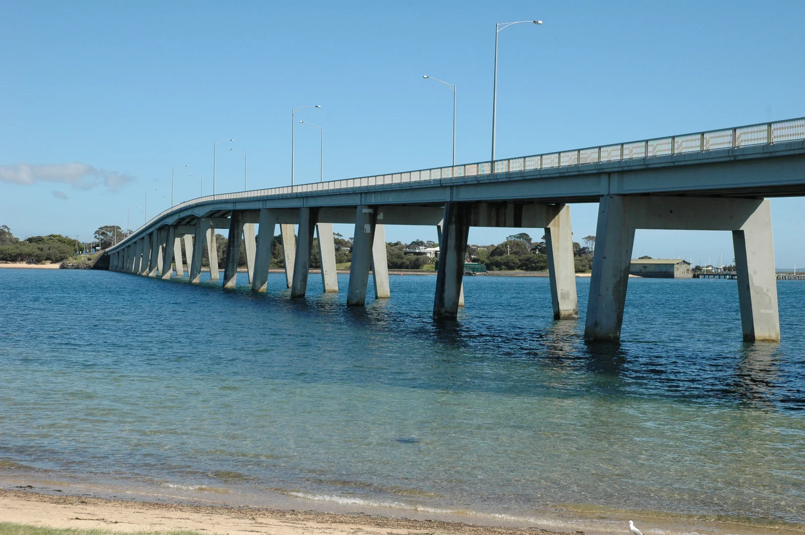 Image 7