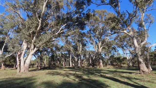 Image 10