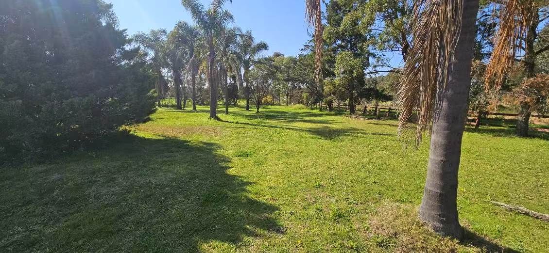 Vacant land in 1136A Bringelly Road, BRINGELLY NSW, 2556