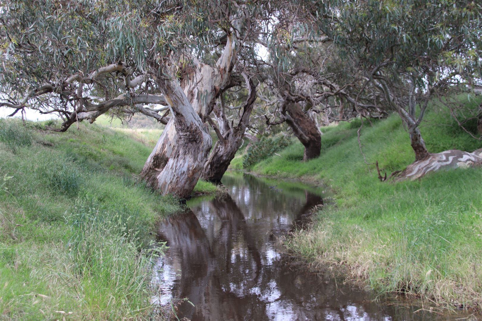 Lot 1 Steiglitz Road, Sutherlands Creek VIC 3331, Image 1