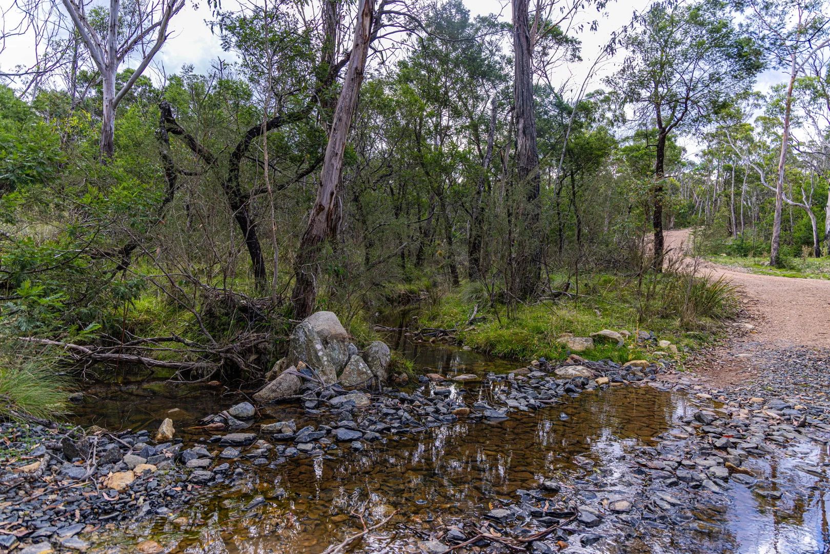 Image 13