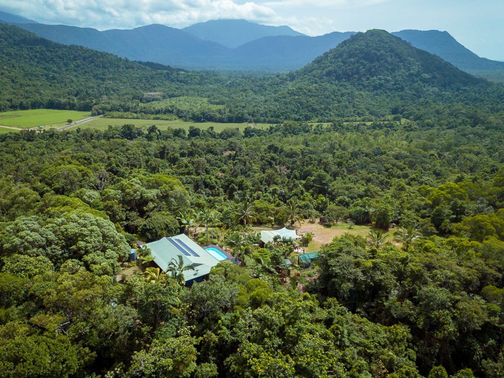 19 Palm Road, Daintree QLD 4873, Image 0