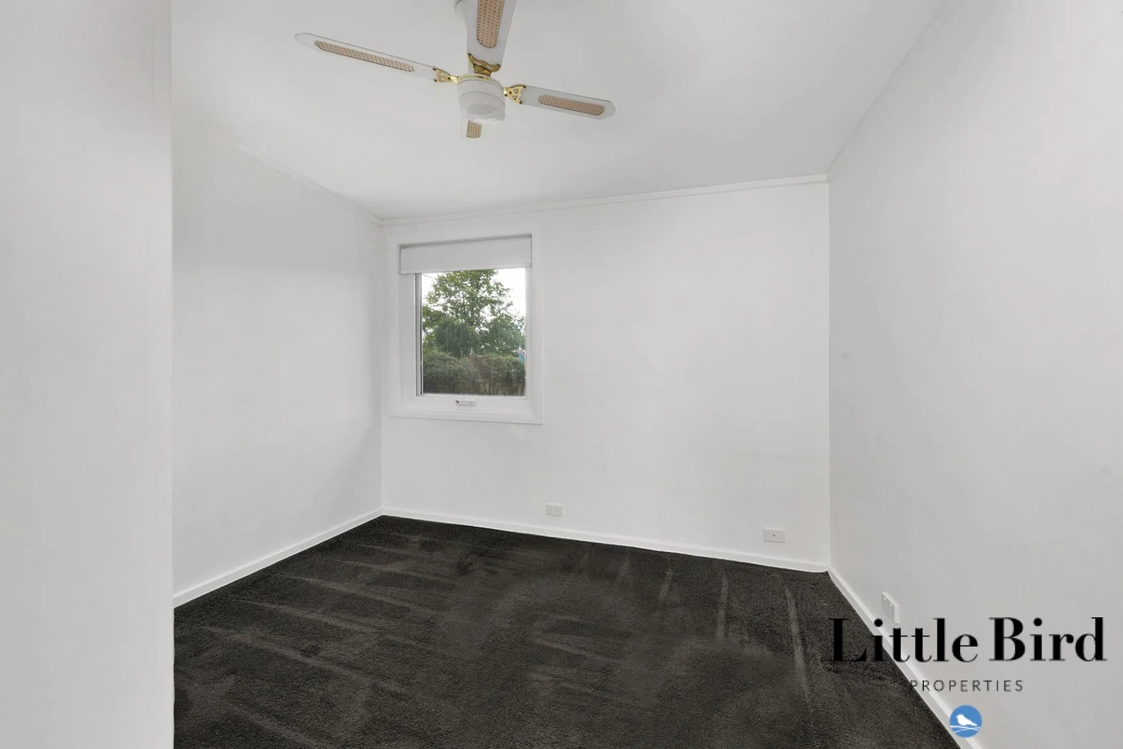 Additional image 10 of 38 Faucett Street, Latham ACT 2615