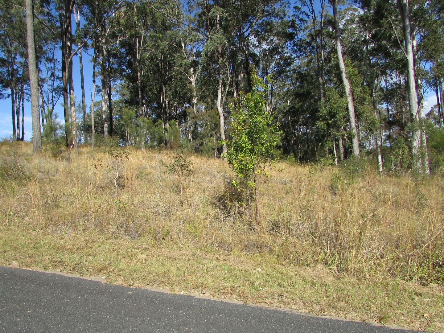 Lot 17 Sherwood Creek Road, Glenreagh NSW 2450, Image 1