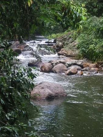 Additional image 5 of 126 Narrows Road, North Maleny QLD 4552
