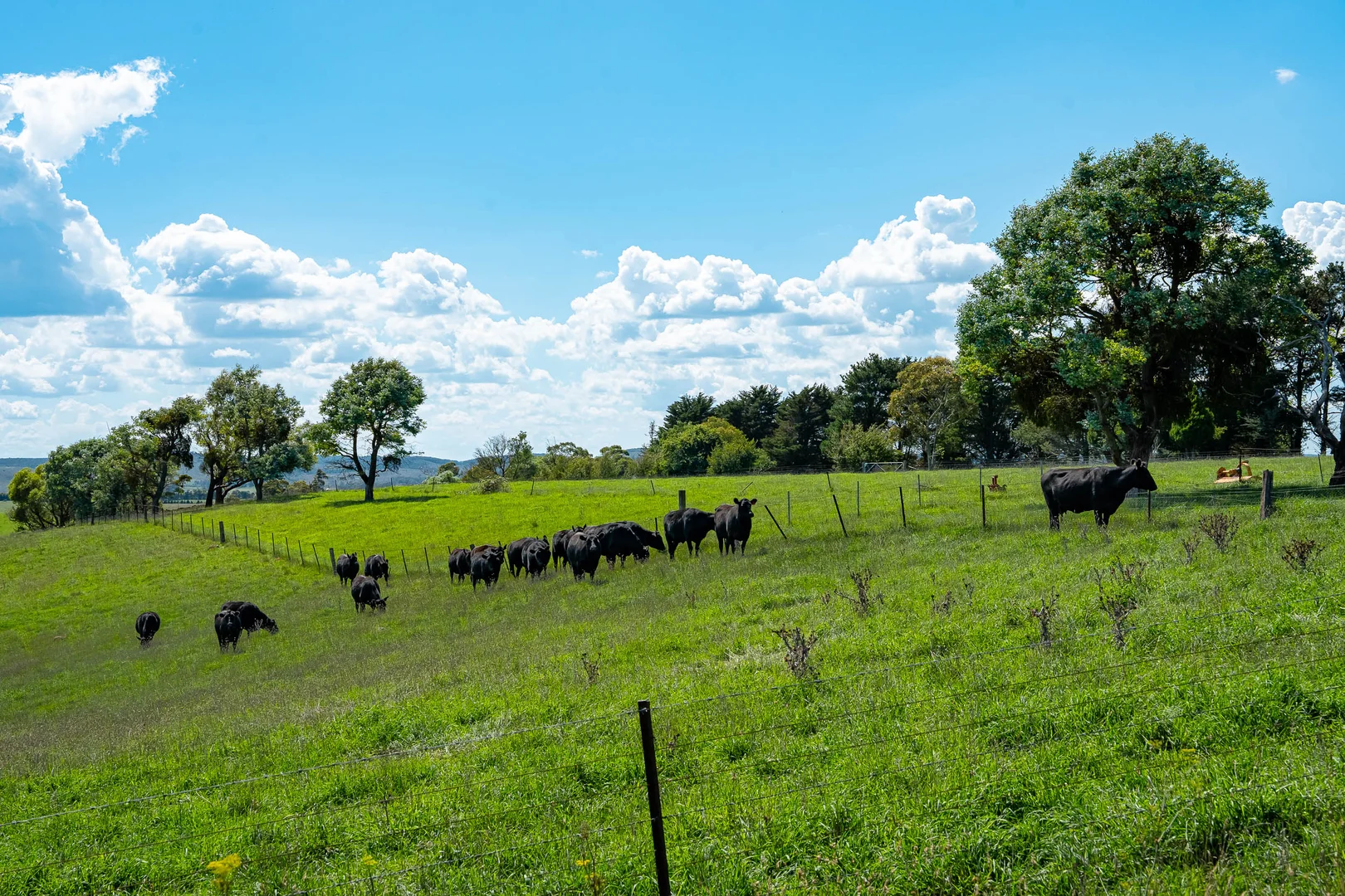 Additional image 15 of 68 Woodhouselee Road, Wayo via, Goulburn NSW 2580