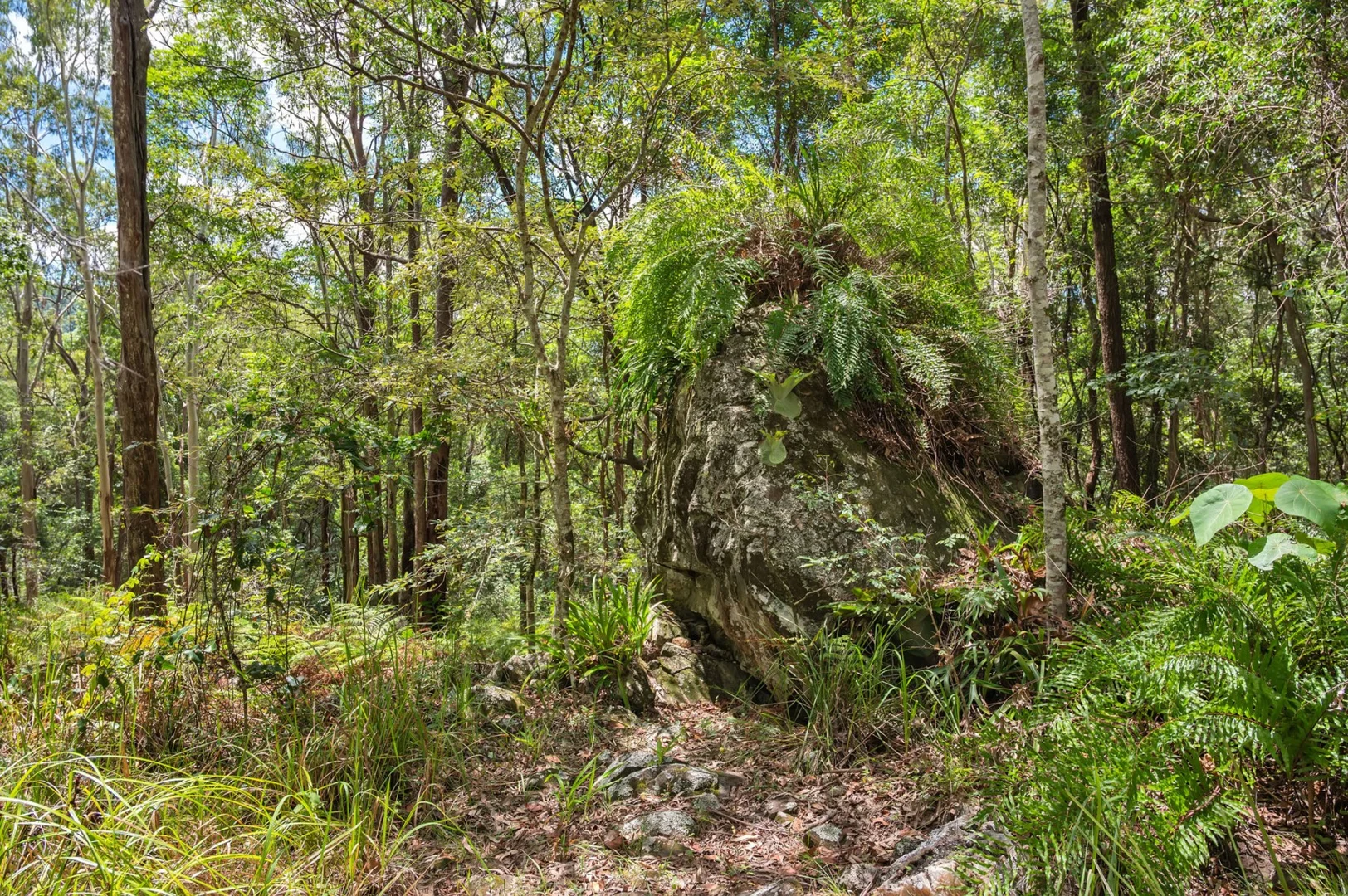 Additional image 29 of 1980 Maleny Stanley River Road, Booroobin QLD 4552