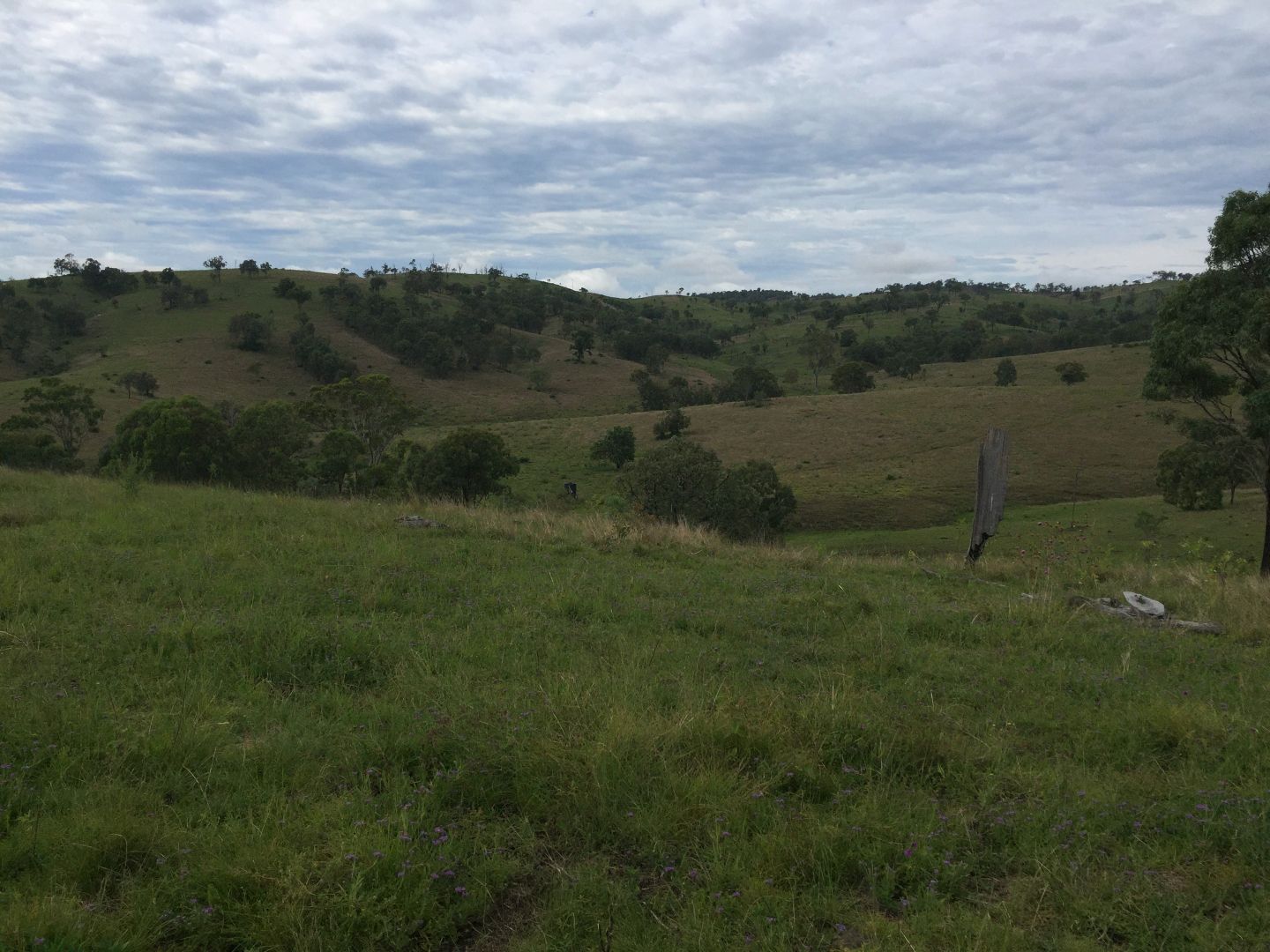 LOT 62 Johnstown Road, Johnstown QLD 4615 House for Sale Domain