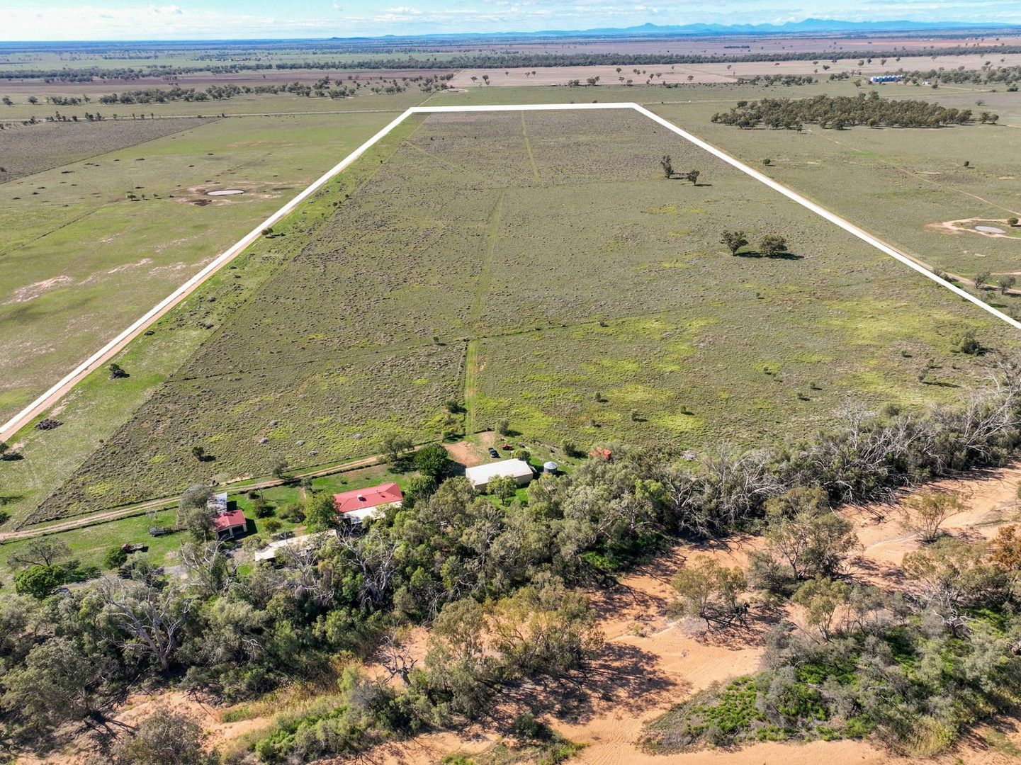 Rivergum 8793 Castlereagh Highway, Coonamble NSW 2829, Image 0