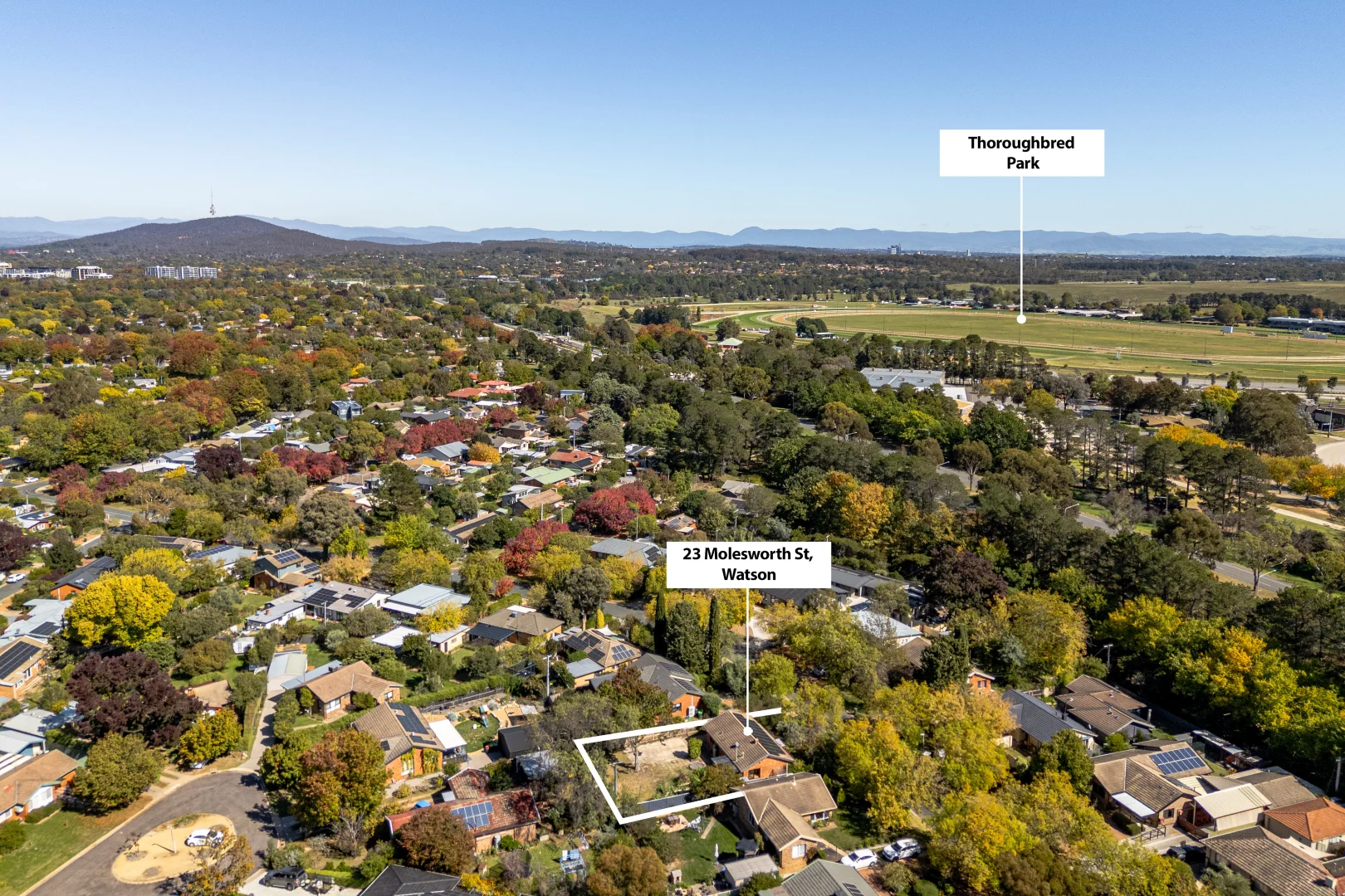 Additional image 21 of 23 Molesworth Street, Watson ACT 2602