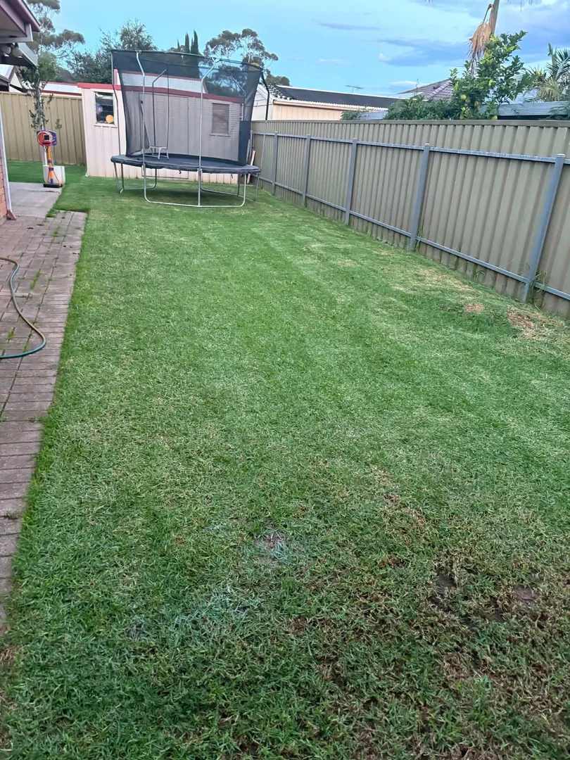 Image 12