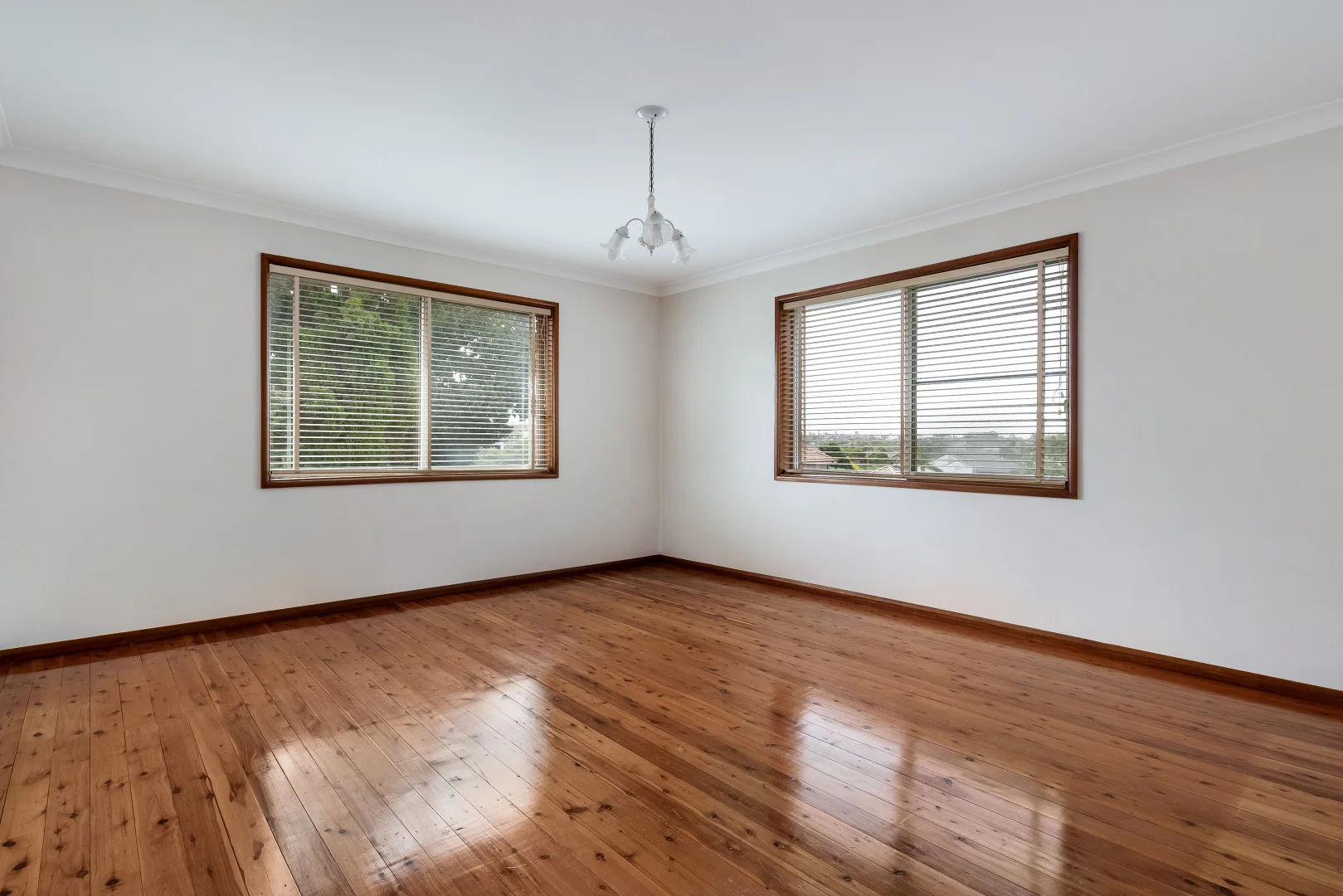 Additional image 15 of 123 Wardell Road, Earlwood NSW 2206