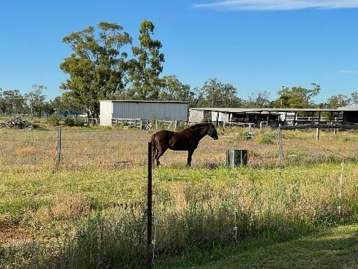 70 Sunrise Ave, Dalby QLD 4405, Image 1