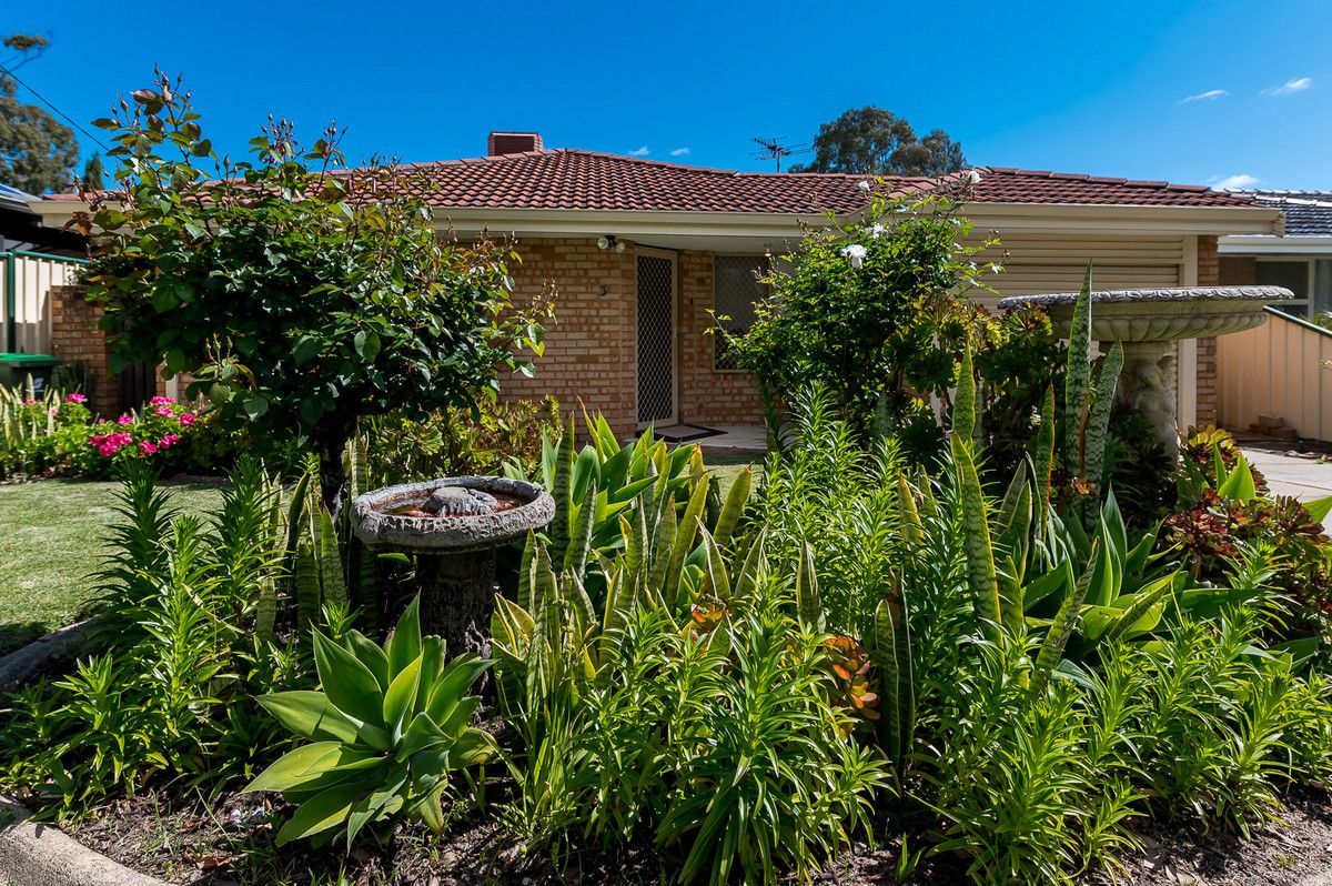 3 Ravenswood Court, Nollamara WA 6061, Image 2