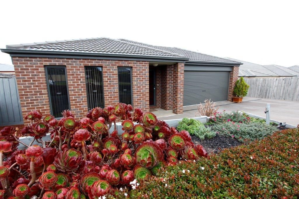 3 bedrooms House in 53 Reserve Road GROVEDALE VIC, 3216