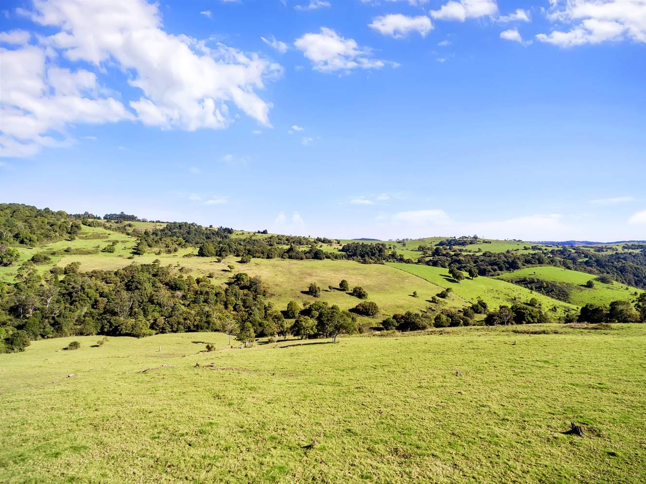 Lot 51 South West Road, Beechmont QLD 4211, Image 0