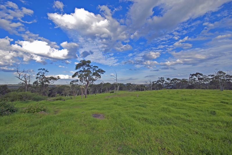 Peats Ridge NSW 2250, Image 1