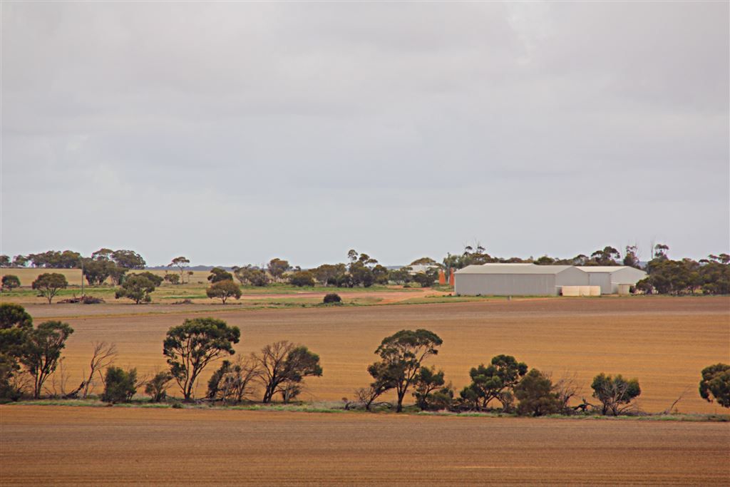 3098 Gunyidi Wubin Road, Gunyidi WA 6513, Image 1