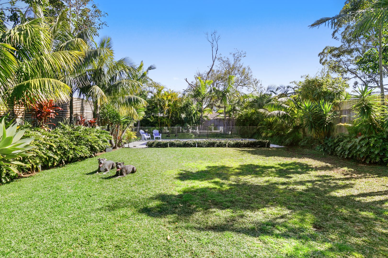 38 Bangaroo Street, North Balgowlah NSW 2093, Image 1