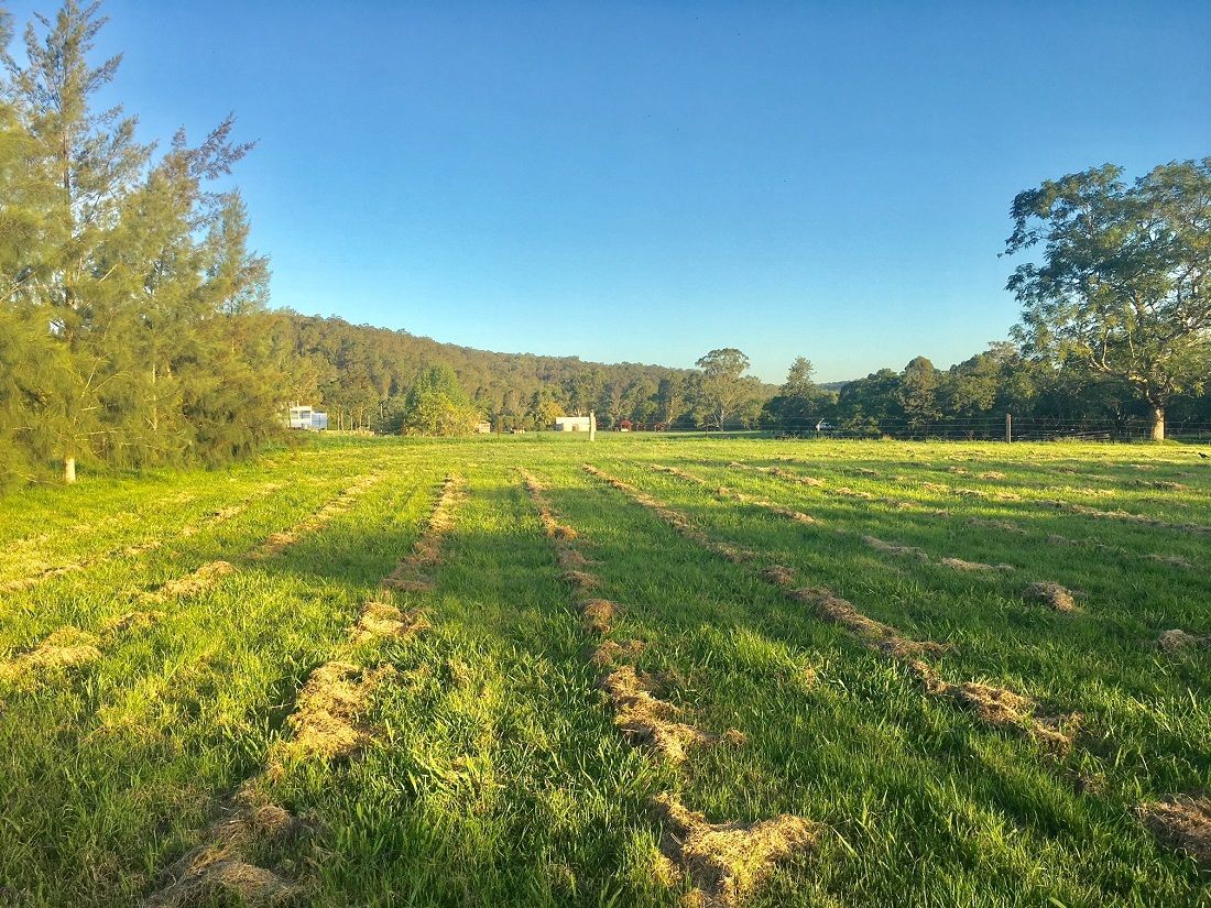 Lots 1,2,6,7 And 8 Paynes Crossing Road, Wollombi NSW 2325, Image 0