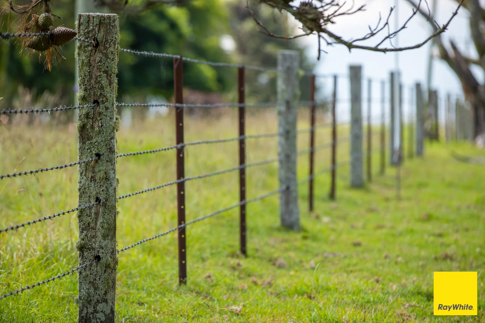 Additional image 9 of 262 Snows Road, Dorrigo NSW 2453