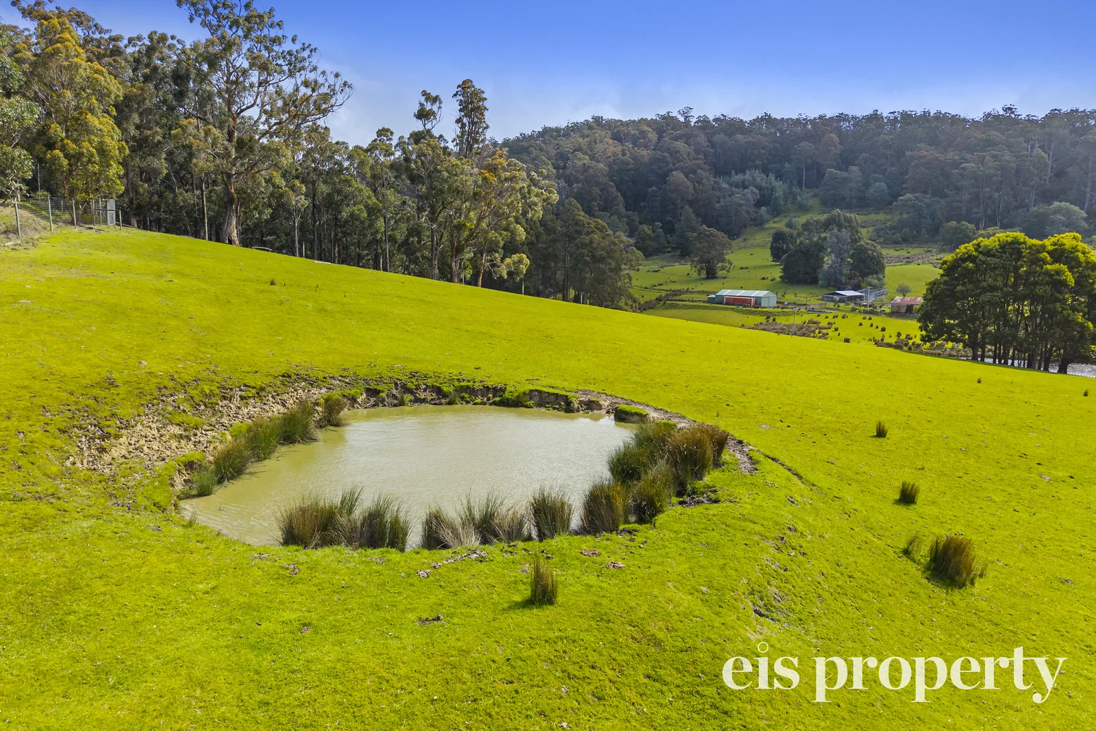 Additional image 14 of Lot 1 Eva Gully Road, Brooks Bay TAS 7116