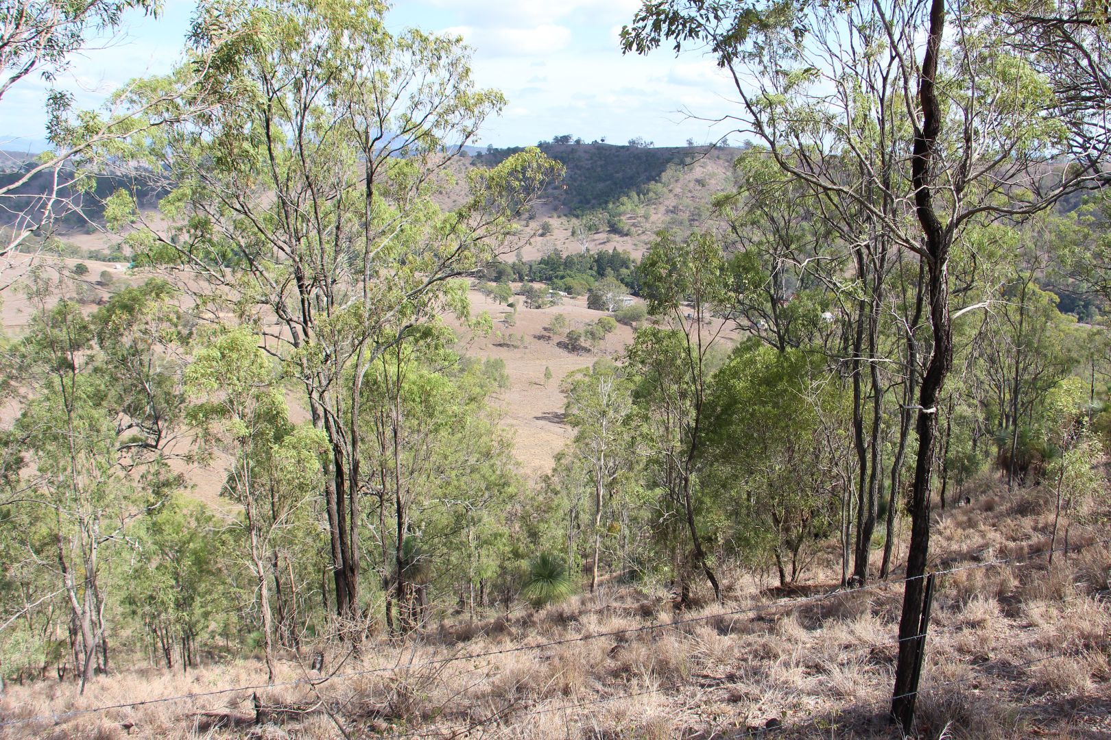 Philp Mountain Road, Running Creek QLD 4287, Image 1