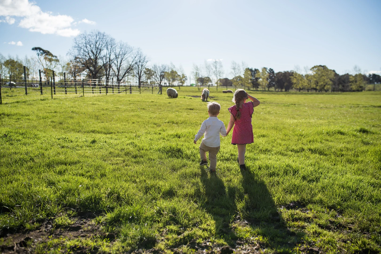 Additional image 25 of 1034 The Escort Way, Orange NSW 2800