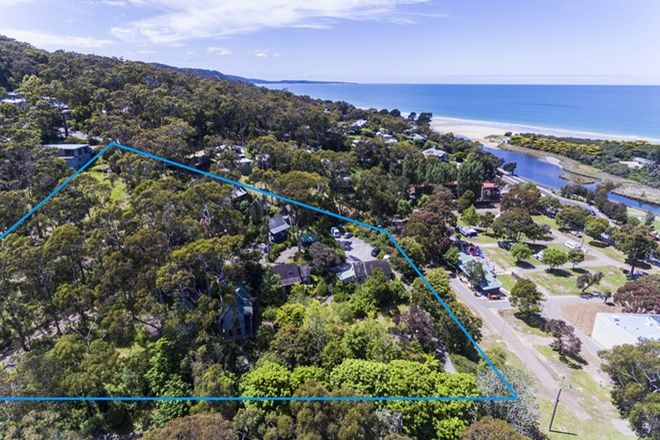 Picture of 10 Erskine Avenue, LORNE VIC 3232