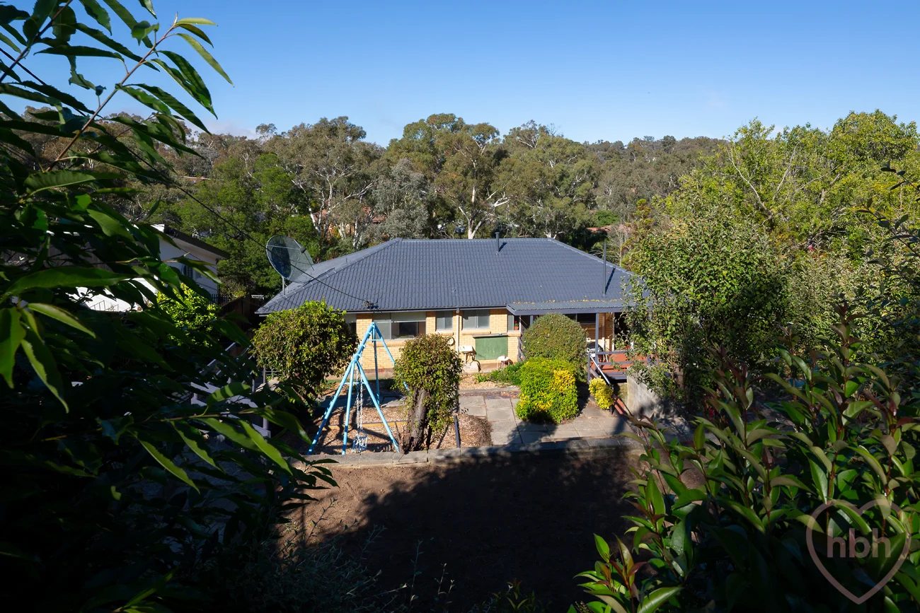 Image 30