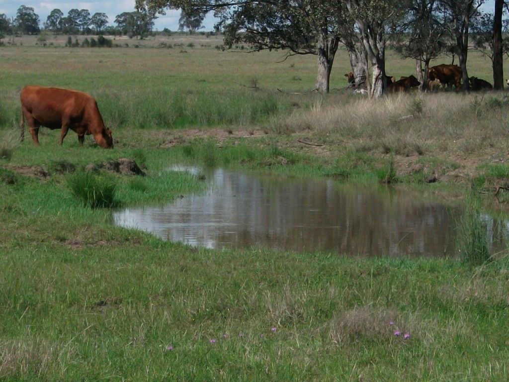 HANNAFORD QLD 4406, Image 1