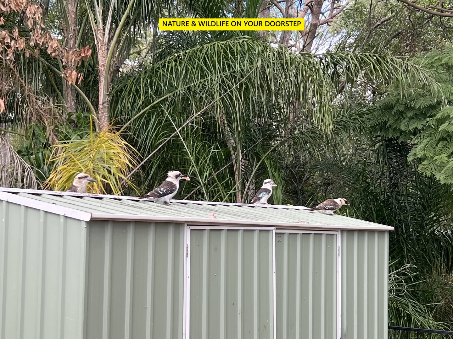 Additional image 26 of 21 Jeanette Avenue, Springwood QLD 4127