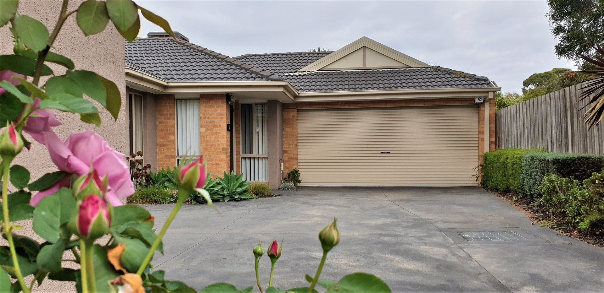 3/10 Ross Street, Ferntree Gully VIC 3156 Apartment For Rent 580