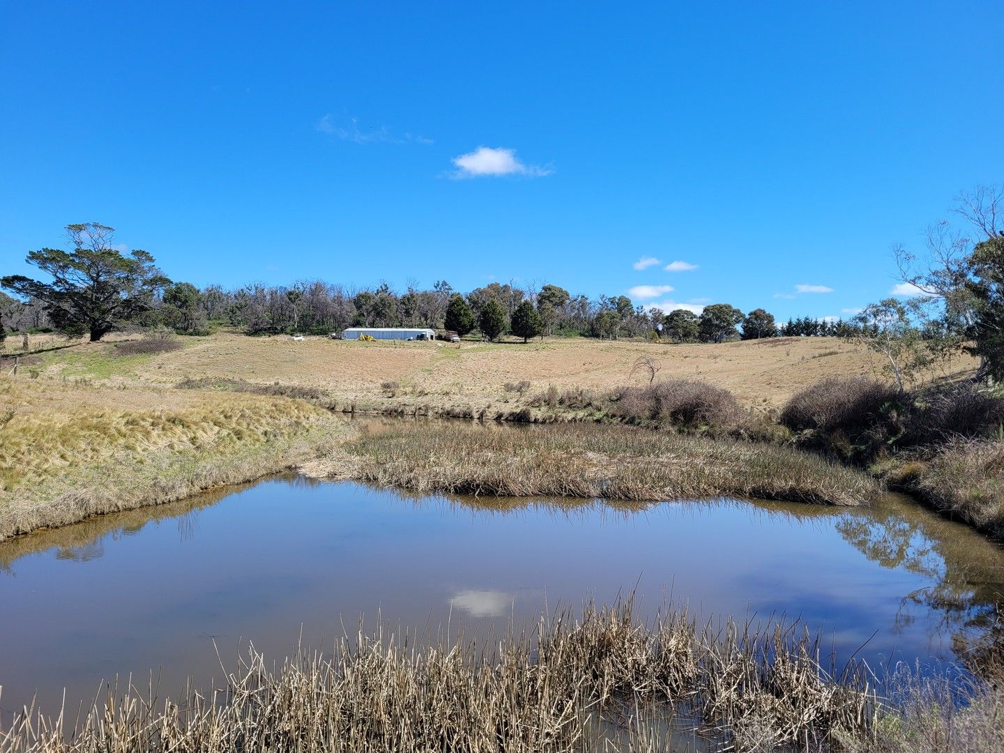 158A Haughtons Road, Tomboye NSW 2622, Image 0