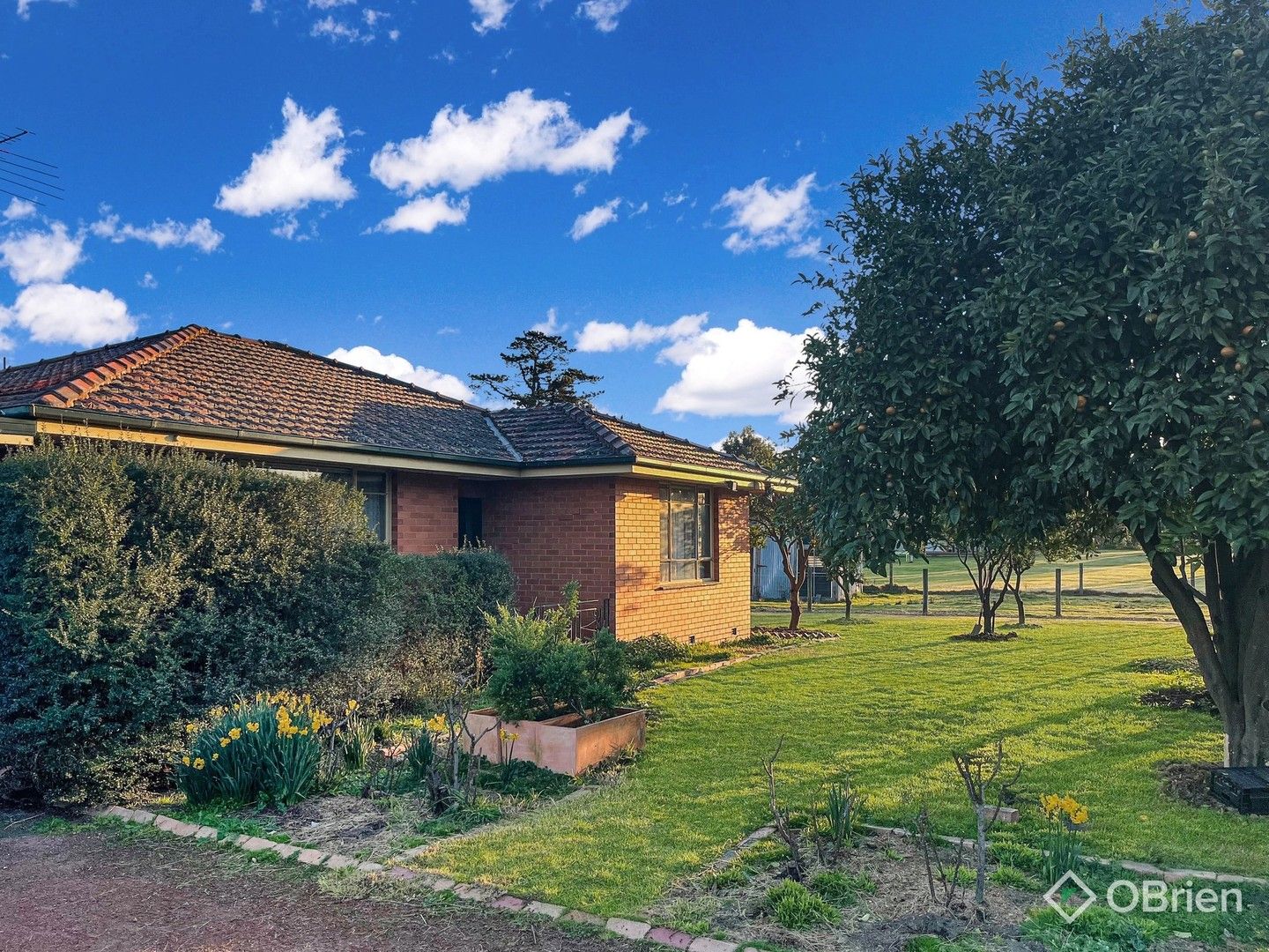 18 Olive Road, Devon Meadows VIC 3977, Image 0