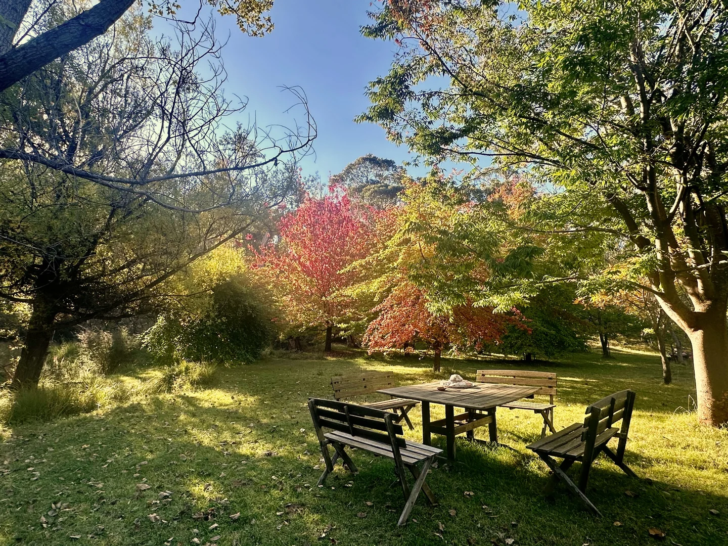 Additional image 36 of 791 Kennedys Road, Yaouk NSW 2629