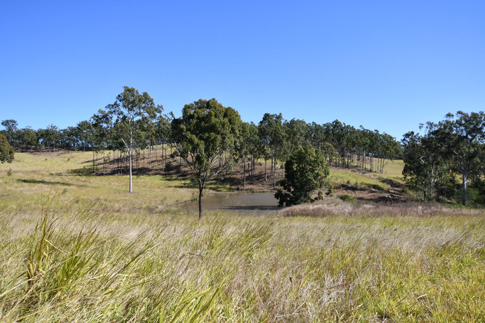 Lot 167 Towns Creek Road, Mount Perry QLD 4671, Image 1