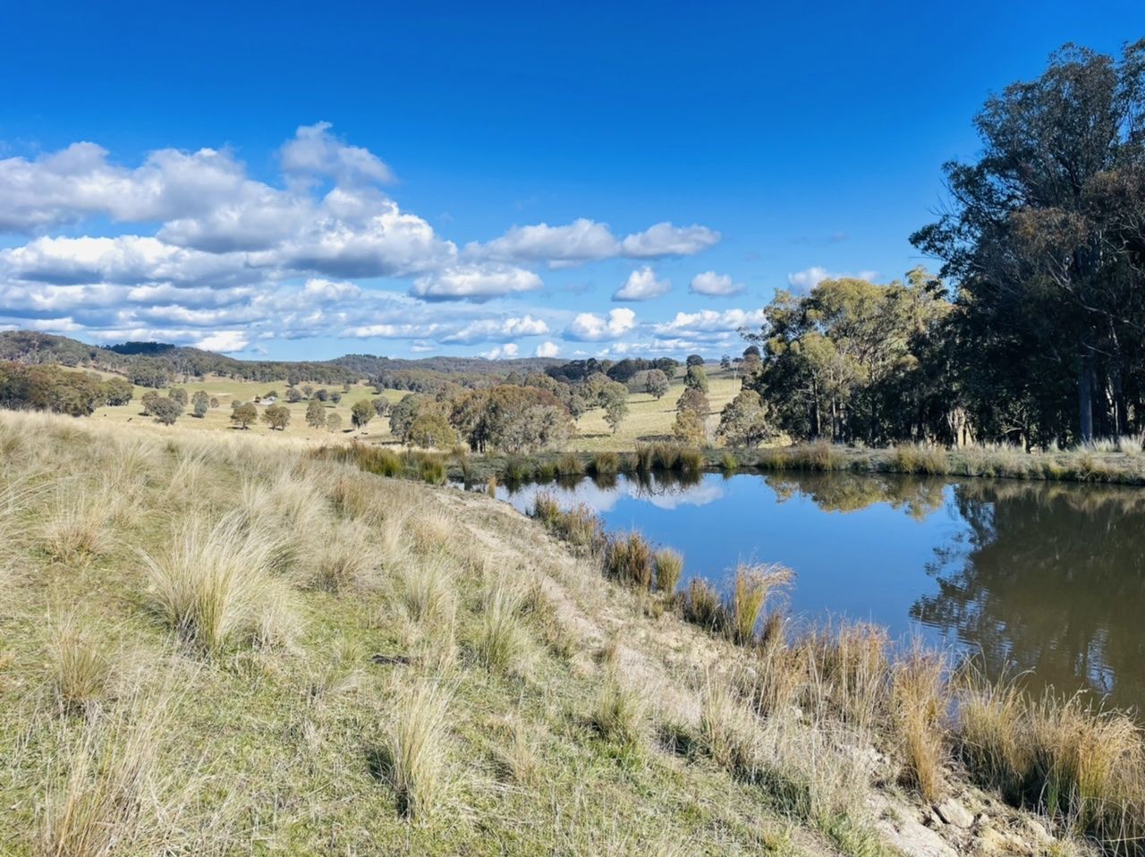 3564 Niangala Road, Walcha NSW 2354, Image 2