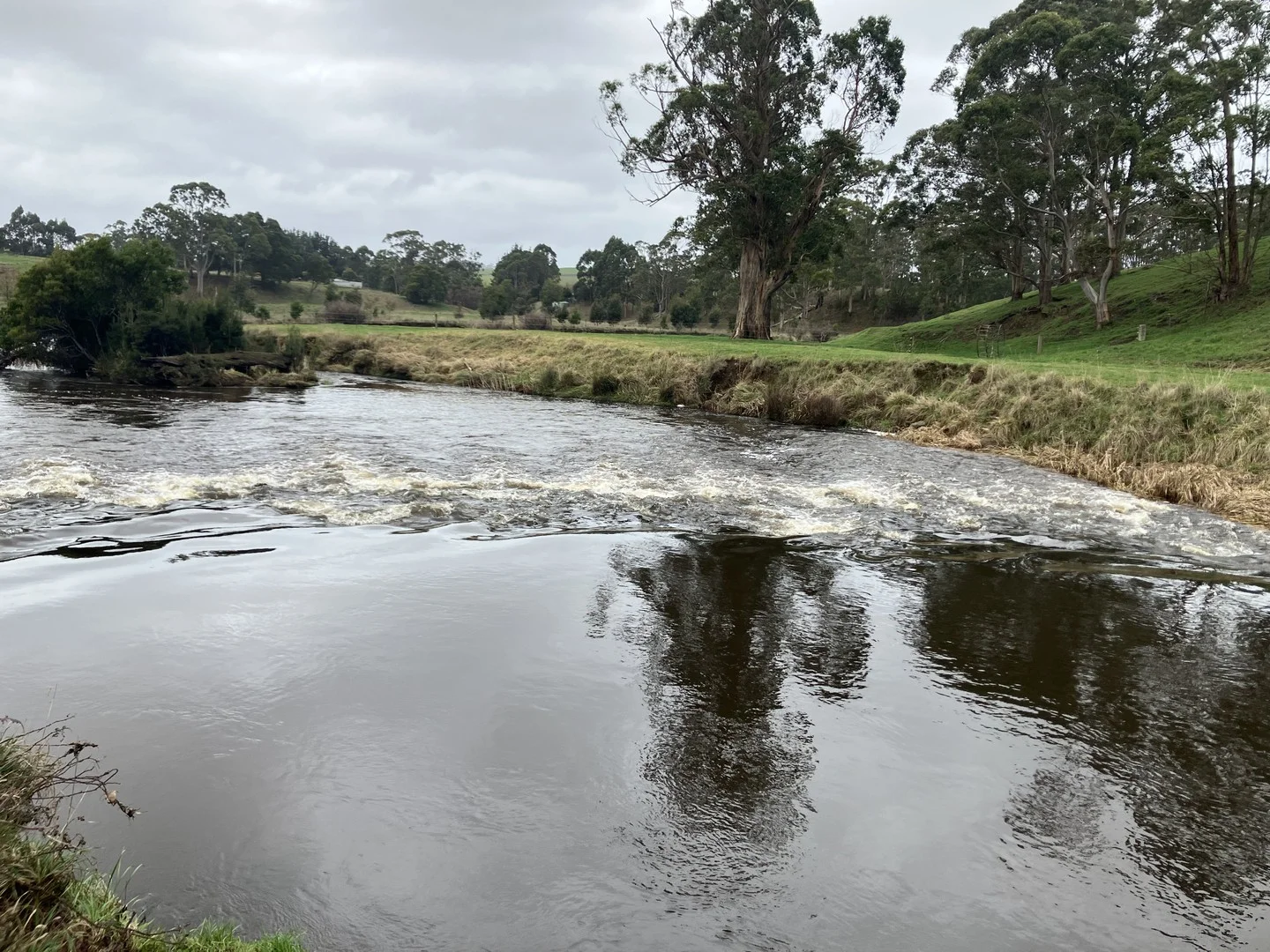 Additional image 10 of 16797 Bass Highway, Flowerdale TAS 7325