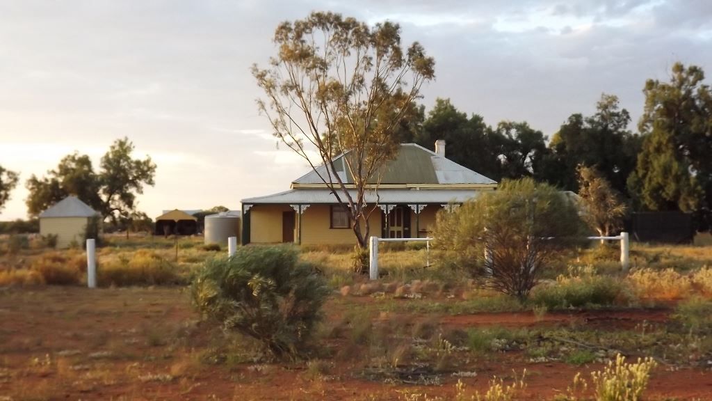 Mullewa WA 6630, Image 0