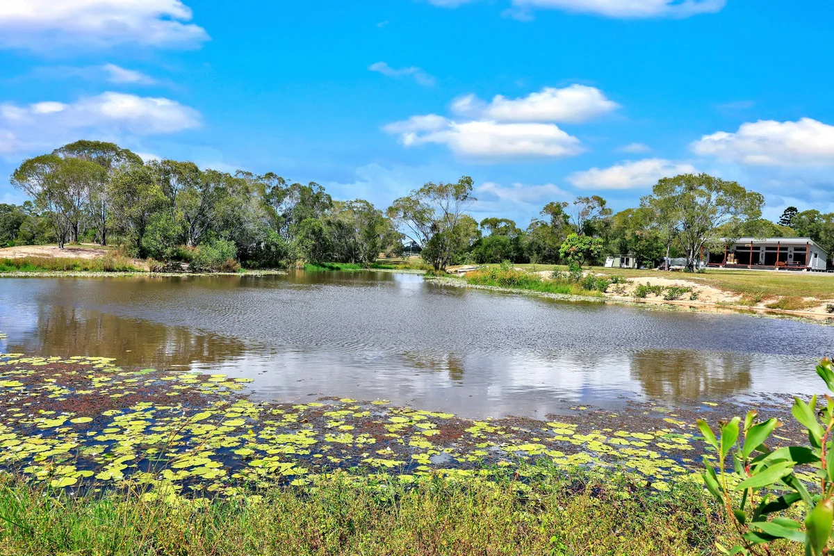 Additional image 21 of 59 Bilsborough Road, Pacific Haven QLD 4659